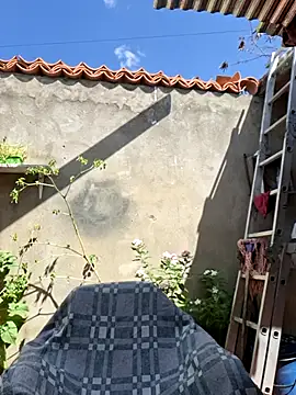 room 24funn online show from 11.14.25