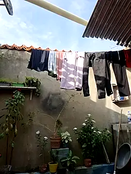 room 24funn online show from 01.10.26