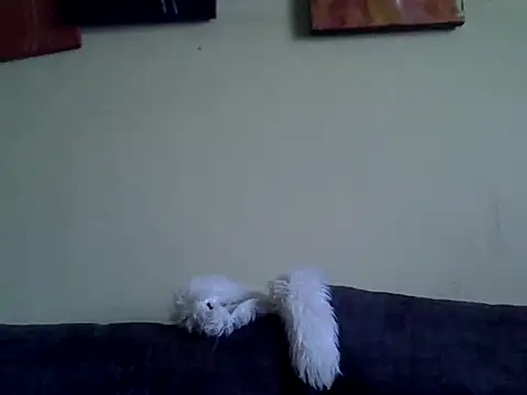 Delicious-D online show from 02.10.26