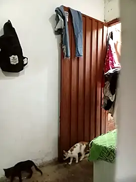 Andreita 95 online show from 11.13.25