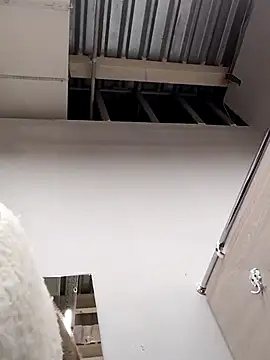 Morphine 666 online show from 12.14.24