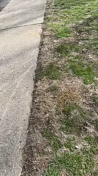 Esauhot online show from 02.25.25