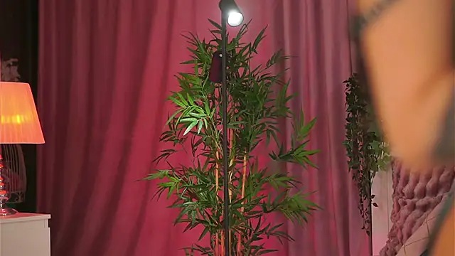 Evelyn Evyyy online show from 02.09.25