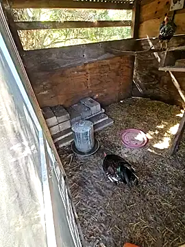 Snapshot of Mistress_Melissa chatting on 02.03.25 Mistress Melissa online show from 02.03.25