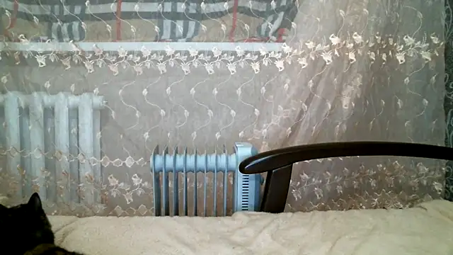 Snapshot of DennisXCaroll chatting on 02.16.25 DennisXCaroll online show from 02.16.25