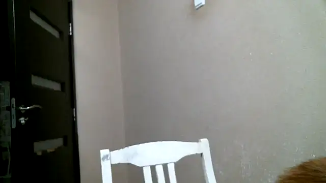 Snapshot of DennisXCaroll chatting on 02.18.25 DennisXCaroll online show from 02.18.25