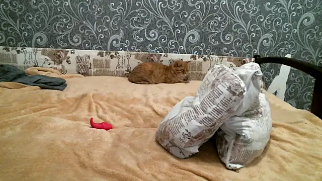 Snapshot of DennisXCaroll chatting on 02.19.25 DennisXCaroll online show from 02.19.25