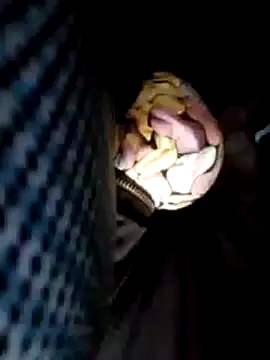 Policeman20742 online show from 02.25.25