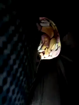 Policeman20742 online show from 03.17.25