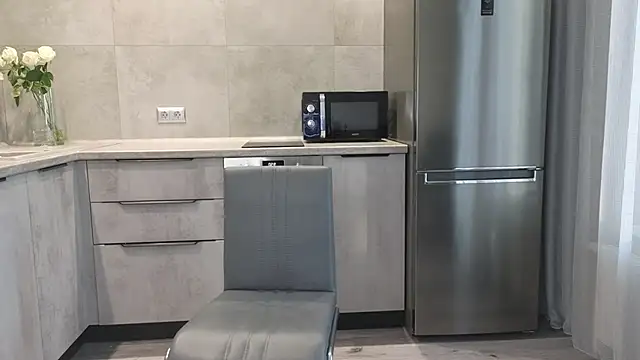 Snapshot of Cinderella____ chatting on 12.26.24 Cinderella online show from 12.26.24