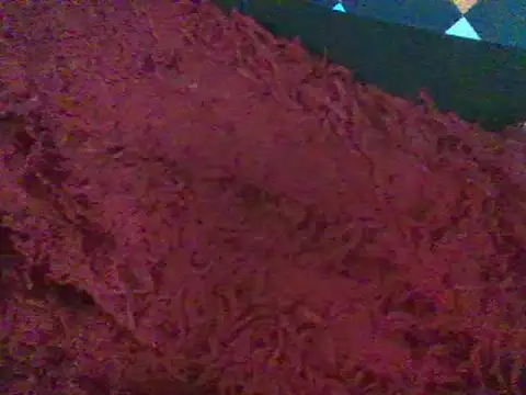 RoxiRedXXX online show from 01.11.25