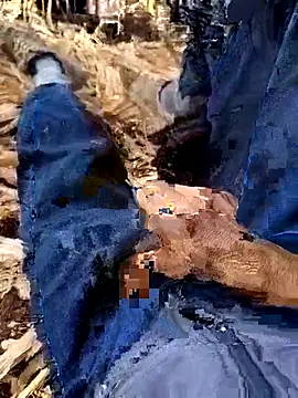 Snapshot of murokkk31 chatting on 12.04.25 murokkk31 online show from 12.04.25