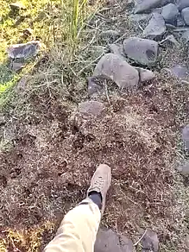 Snapshot of murokkk31 chatting on 12.16.25 murokkk31 online show from 12.16.25