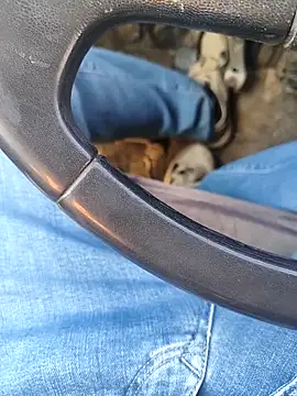 Snapshot of murokkk31 chatting on 01.08.26 murokkk31 online show from 01.08.26