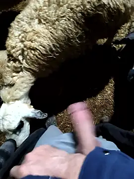 Snapshot of murokkk31 chatting on 01.09.26 murokkk31 online show from 01.09.26