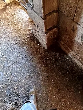 Snapshot of murokkk31 chatting on 01.14.26 murokkk31 online show from 01.14.26