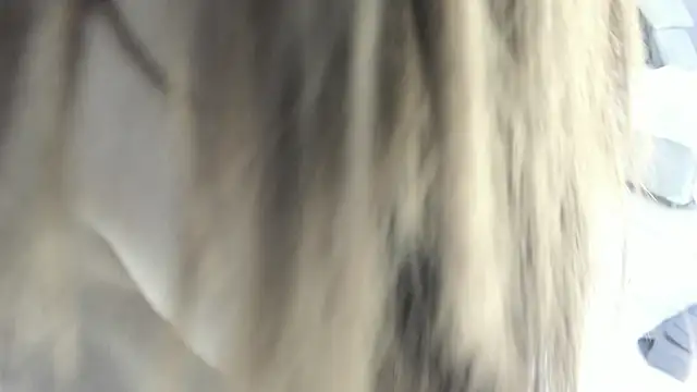 celestica rose online show from 02.02.26