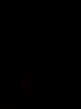 Alanagracia online show from 02.14.25