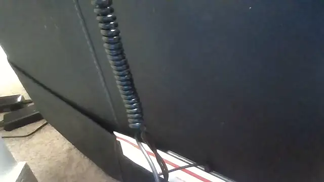 Snapshot of bootlegmanz chatting on 11.10.25 bootlegmanz online show from 11.10.25