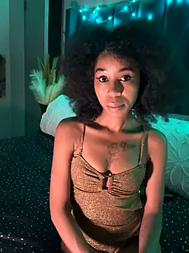 Snapshot of Dime-__ chatting on 11.02.25 Dime- online show from 11.02.25