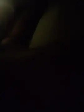 wlammi ptr online show from 02.12.26