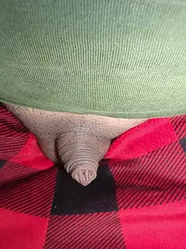 publicsir online show from 03.02.26