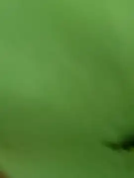  Mira 69  online show from 04.01.26