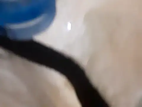 Snapshot of pedrodavid_ chatting on 03.14.25 pedrodavid online show from 03.14.25