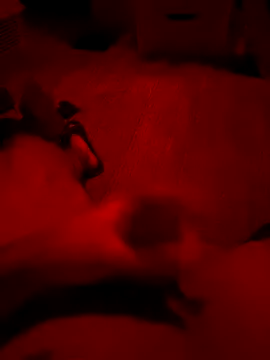 Amo 2121 online show from 12.05.25