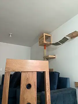 Snapshot of SofiaG_ chatting on 12.27.24 SofiaG  online show from 12.27.24