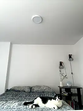 Snapshot of SofiaG_ chatting on 10.04.25 SofiaG  online show from 10.04.25