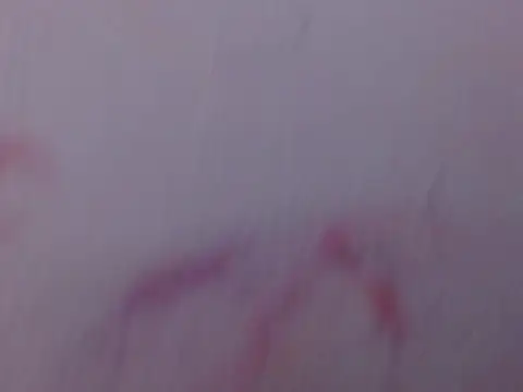 Mily pao1 online show from 02.18.26