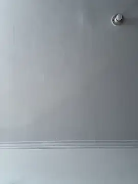 Sara luna  online show from 12.14.24