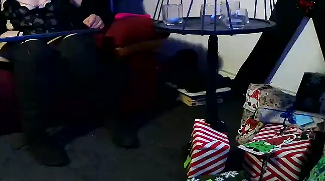 Snapshot of cplf2024 chatting on 12.24.24 cplf2024 online show from 12.24.24