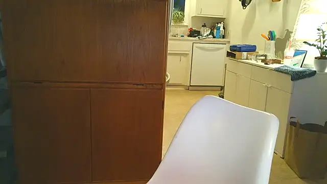 costanza7070 online show from 03.02.26