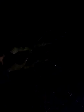 Wildherb244 online show from 12.04.24