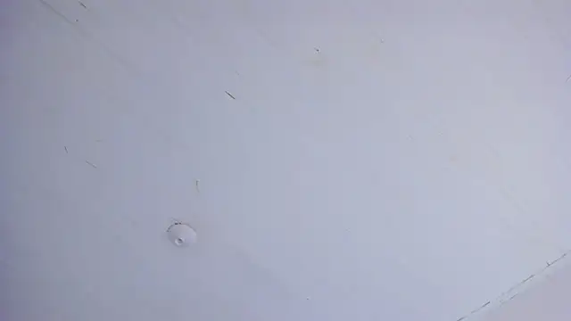 TiffanyWright online show from 04.14.26