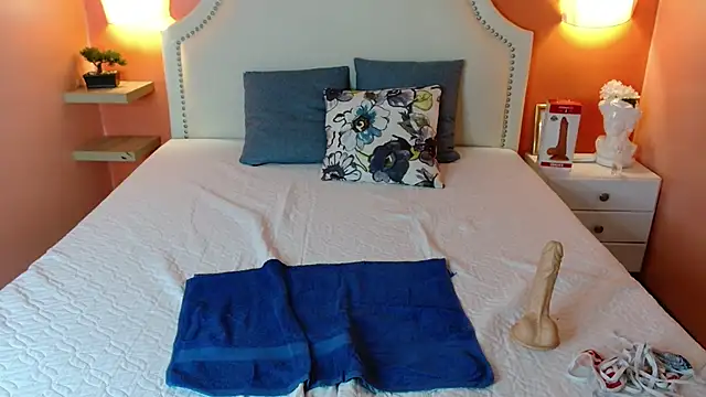 Snapshot of north_sweet_ chatting on 02.23.25 north sweet  online show from 02.23.25