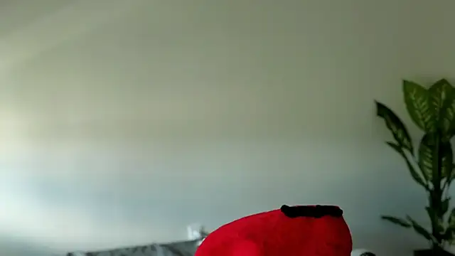 Sapphir3xoxo online show from 09.24.25