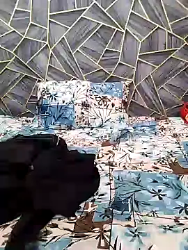 Snapshot of Diya_Chopra chatting on 12.16.24 Diya Chopra online show from 12.16.24