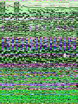 Snapshot of -SHINON- chatting on 11.09.25 -SHINON- online show from 11.09.25