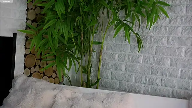 LowOncoming online show from 03.25.26