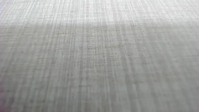 AishaRouhi online show from 03.04.26