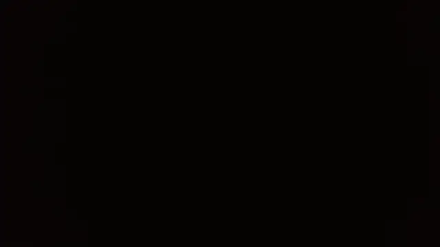 Stefanny Taylor  online show from 01.17.26