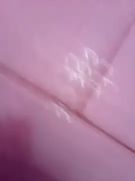 Snapshot of sokrates13 chatting on 01.08.25 sokrates13 online show from 01.08.25