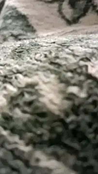 Snapshot of sokrates13 chatting on 01.11.25 sokrates13 online show from 01.11.25