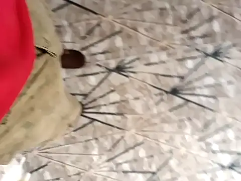 Snapshot of sokrates13 chatting on 01.21.25 sokrates13 online show from 01.21.25