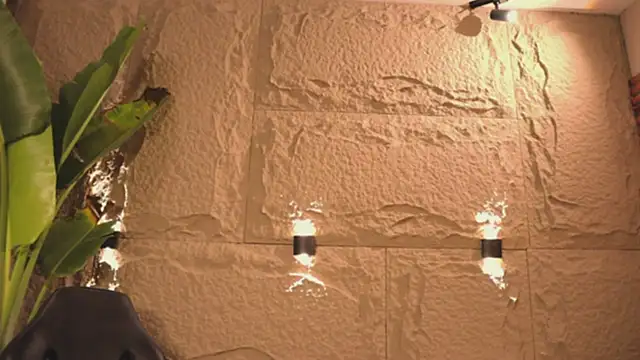 Logan Varela online show from 03.14.25