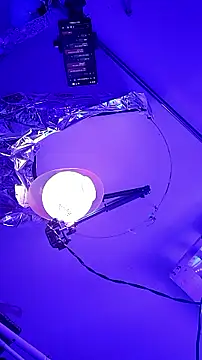 gurlnips online show from 09.26.25