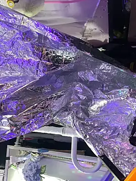 gurlnips online show from 10.08.25